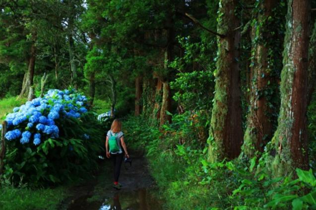 By The Sea Azores Рибейра Гранде Екстериор снимка